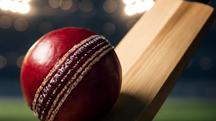 Popular Sports for Betting on HI774 COM Popular Sports for Betting on HI774 COM